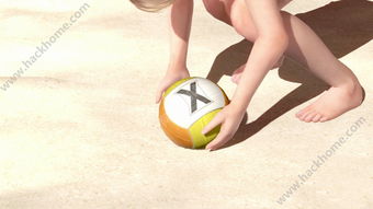 死或生沙滩排球2下载问题