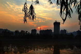 橡树摄影网的基本介绍