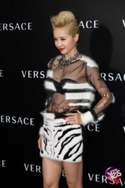 蔡依林整容前照片、