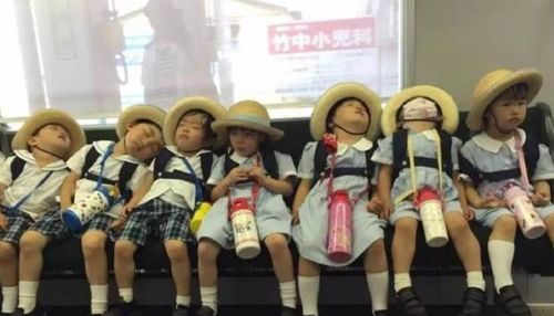 教师节送老师什么礼物好呢?