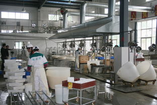 农村创业办厂好项目有哪些