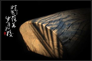 时光荏苒是什么意思