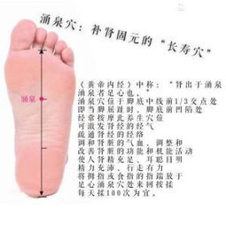 生姜涌泉的准确位置图和作用