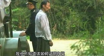 风筝未删减视频