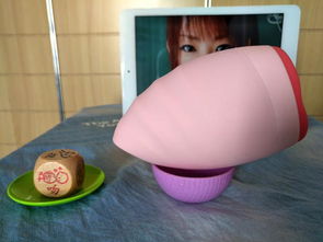 接吻器是什么东西,接吻器是什么