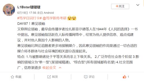 请简要介绍一下什么是意见领袖