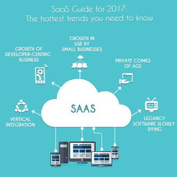 saas是什么意思？