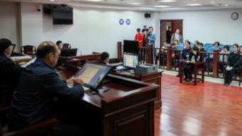 杀猪盘怎么判刑