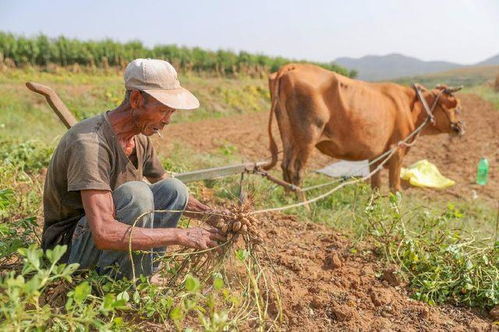 养殖业什么最赚钱农村