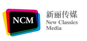 新丽传媒有没有在能一个投资300元