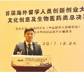 海归创业多是哪些领域？