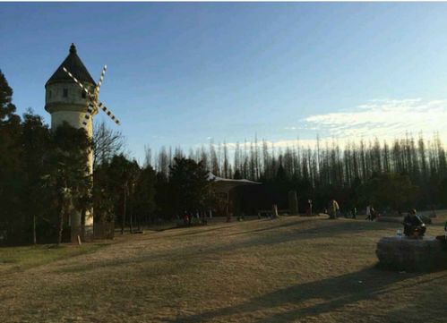 去崇明岛 有什么好玩的项目，那里有沙滩吗