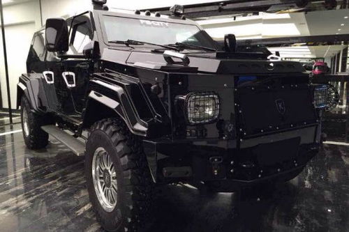 骑士十五世的概念