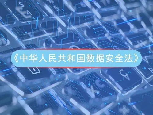 关于今后个人的发展方向