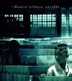 十大鬼片恐怖排名有哪些？