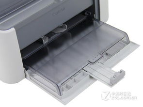 佳能2900驱动和哪个通用,佳能2900驱动天空