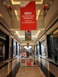 小米在实体店有的卖吗？