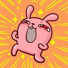 冷兔是什么意思