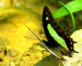 蝴蝶互动(北京)信息技术有限公司怎么样？