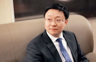 请熟悉科大讯飞的来评价一下总裁刘庆峰