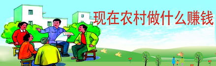 请问在农村做什么生意最赚钱?