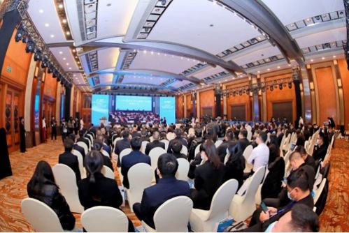 好的创业投资项目