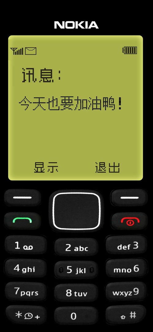 诺基亚N系列所有的手机的壁纸?