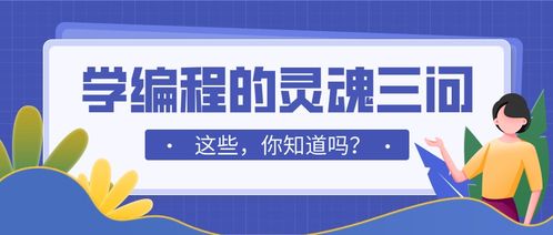学编程先学什么