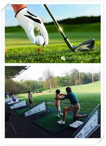 高尔夫基本知识,高尔夫入门基本知识