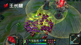 HK-MING&CO与卡蜜儿·明有什么关系？