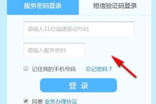puk码查询服务密码