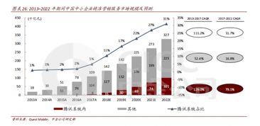 什么是 网络服务提供商？请举例！