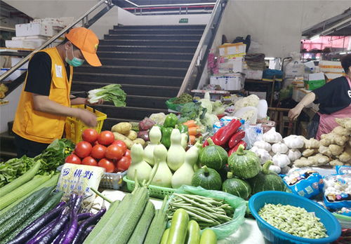 网上菜市场的地区网上菜市场