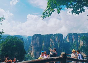 张家界新闻网,张家界新闻网 杨百万