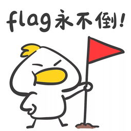 flag怎么读？