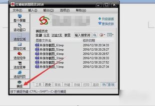 红蜻蜓截图软件在哪下载