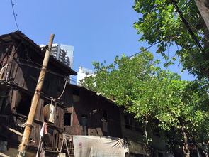 农村包围城市 依据