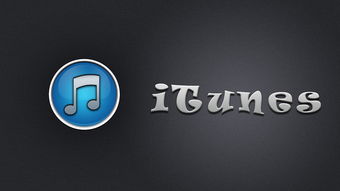 IT是什么意思啊