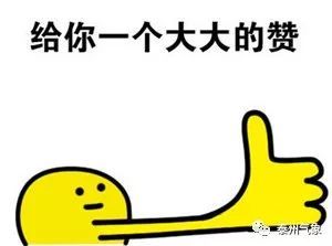 毫不吝啬的赞美