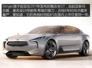 毒刺炸车什么意思