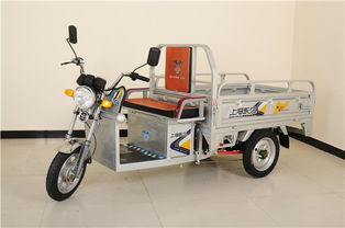 电动三轮车什么牌子好？