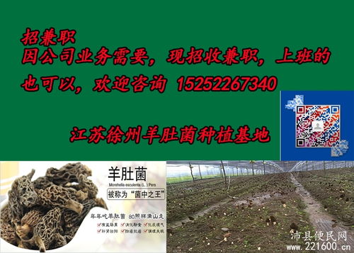 农村种什么挣钱？种植致富20个好项目