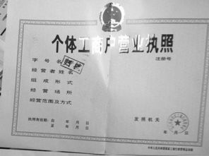 个体工商户登记查询,个体工商户登记信息查询