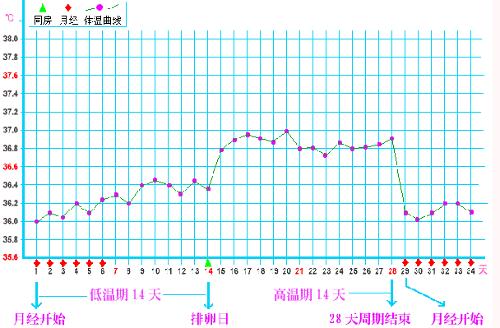 多少体温是正常的