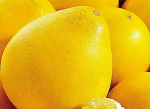 吃柚子的好处与坏处有哪些