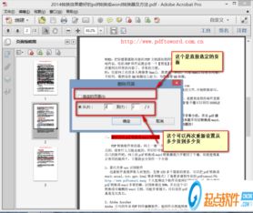 Adobe是干什么的？