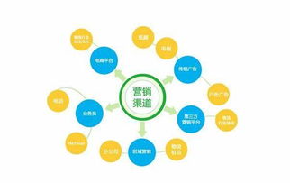 网络营销成功案例