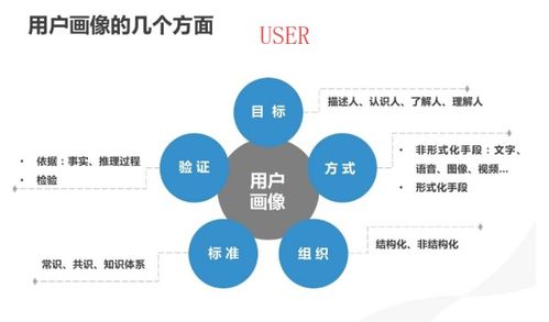 User是什么意思?