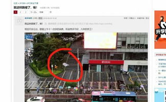 为什么那些腾讯华为的员工宁愿跳楼想不开也不愿意