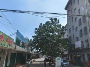 百度凤巢 是个什么概念？